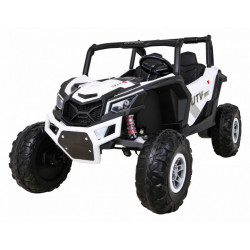 UTV Nagy Elektromos Buggy Elektromos járművek Elektromos járművek Ramiz