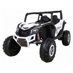 UTV Nagy Elektromos Buggy Elektromos járművek Elektromos járművek Ramiz